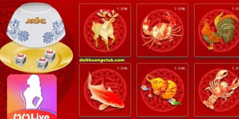 Một vài điểm cần chú ý khi tham gia bầu tôm cua cá